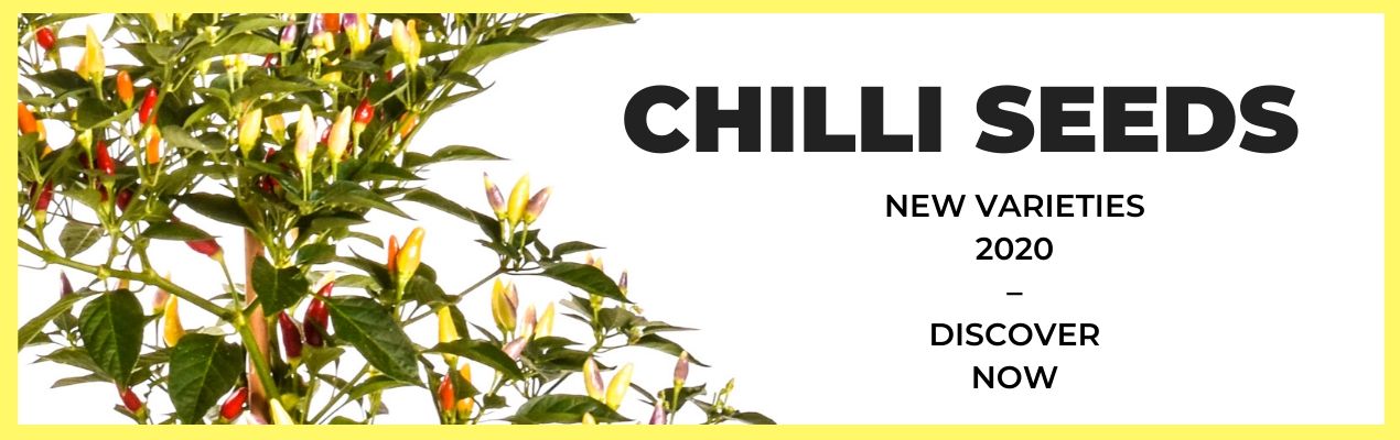 Buy Your Chilli Seeds Online