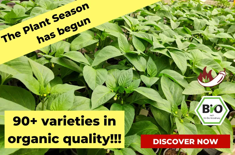 bio_pflanzen