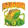 Iguana