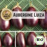 Eggplant/Aubergine (Luiza) seeds 