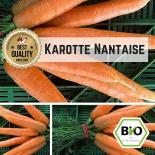Carrot (Nantaise) seeds 