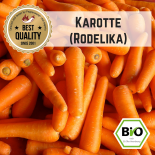 BIO Karotte (Rodelika) Samen 
