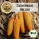 Sweetcorn (Golden Bantham) seeds 