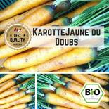 Carrot (Jaune du Doubs) seeds 
