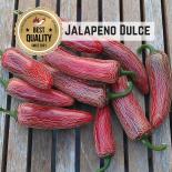 Jalapeño Dulce Chilli Seeds 