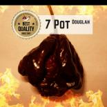 Trinidad 7 Pot/Seven Pot  Douglah Chilisamen 