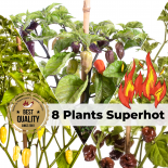 Superhot 8er Paket - BIO Pflanzen-Power-Pack 