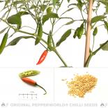 Aji Huanuco Chili Seeds 