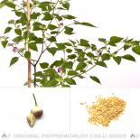 Aji Ayuyo Chili Seeds 