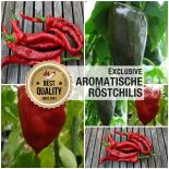 Saat Sortiment "Aromatische Röstchilis" 