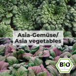 Asia-Gemüse - Gemüse Saat Sortiment 