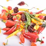 Fresh Chilli BBQ Mix 