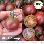 BIO Black Cherry Tomatensamen (Cocktailtomate) 