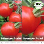 BIO Kremser Perle Tomatensamen (Salattomate) 