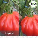 BIO Liguria Tomatensamen (Fleischtomate) 