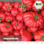 BIO Marmande Tomatensamen (Fleischtomate) 