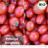 BIO Principe Borghese Tomatensamen (Cocktailtomate) 