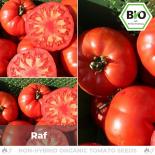 BIO Raf Tomatensamen (Fleischtomate) 
