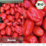 BIO Roma Tomatensamen (Saucentomate) 