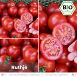 BIO Ruthje Tomatensamen (Salattomate) 