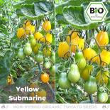 BIO Yellow Submarine Tomatensamen (Cocktailtomate) 