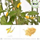 BIO Hot Lemon Chilisamen 