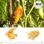 Organic Monkeyface Chilli Seeds 