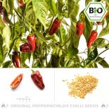 BIO Pimientos de Padron Chilisamen 