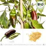Organic Sweet Chocolate Chilli Seeds 