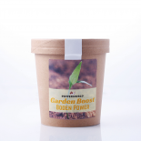 Garden Boost Boden Power Bodenverbesserer 