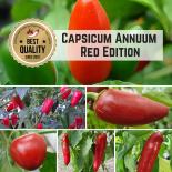 Capsicum annuum BIO Pflanzen-Power-Pack 