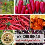 6er Chilihead BIO Pflanzen-Power-Pack 