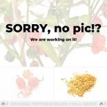 Trinidad Scorpion Butch T Yellow Chilli Seeds 