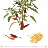 Chris de San Remo Chili Seeds 