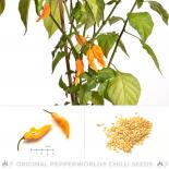 Fatalii Yellow Chilli Seeds 