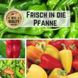 Saat Sortiment "Frisch in die Pfanne" 