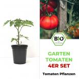Garten Tomaten Set - Organic Tomato Plants 