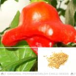 Glocken Paprika Chilisamen 