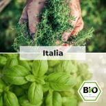 BIO Italia - Kräuter Saat Sortiment 