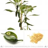 Jalapeno Big Guy Chili Seeds 