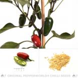 Jalapeno El Rey Chili Seeds 