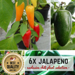 JALAPENO MAL SECHS BIO Pflanzen-Power-Pack 