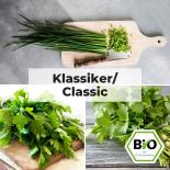 Klassiker - Kräuter Saat Sortiment 