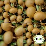 BIO Mairübe Petrowski Samen 