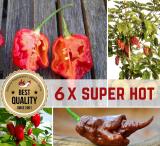 MEGA SUPER HOT Organic Plants-Power-Pack 