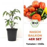 Nasch-Balkon 4er Set - BIO Pflanzen 