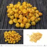 PI 257176 Chilli Seeds 