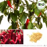 BIO Piment d' Espelette/Gorria Chilisamen 