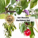 ROCOTO RARITÄTEN BIO Pflanzen-Power-Pack 