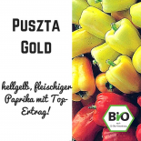BIO Pusztagold Paprika Chilisamen 